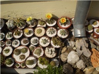 0b470619-Picture 6379.jpg